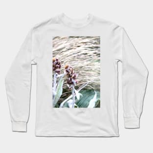 windswept Long Sleeve T-Shirt